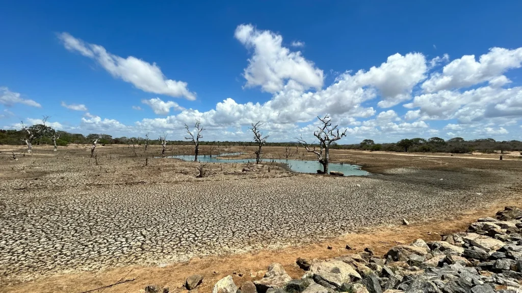 The Impact of Climate Change on Forced Migration in the Sahel: Human RightsPerspective (Nigeria as a Case Study)