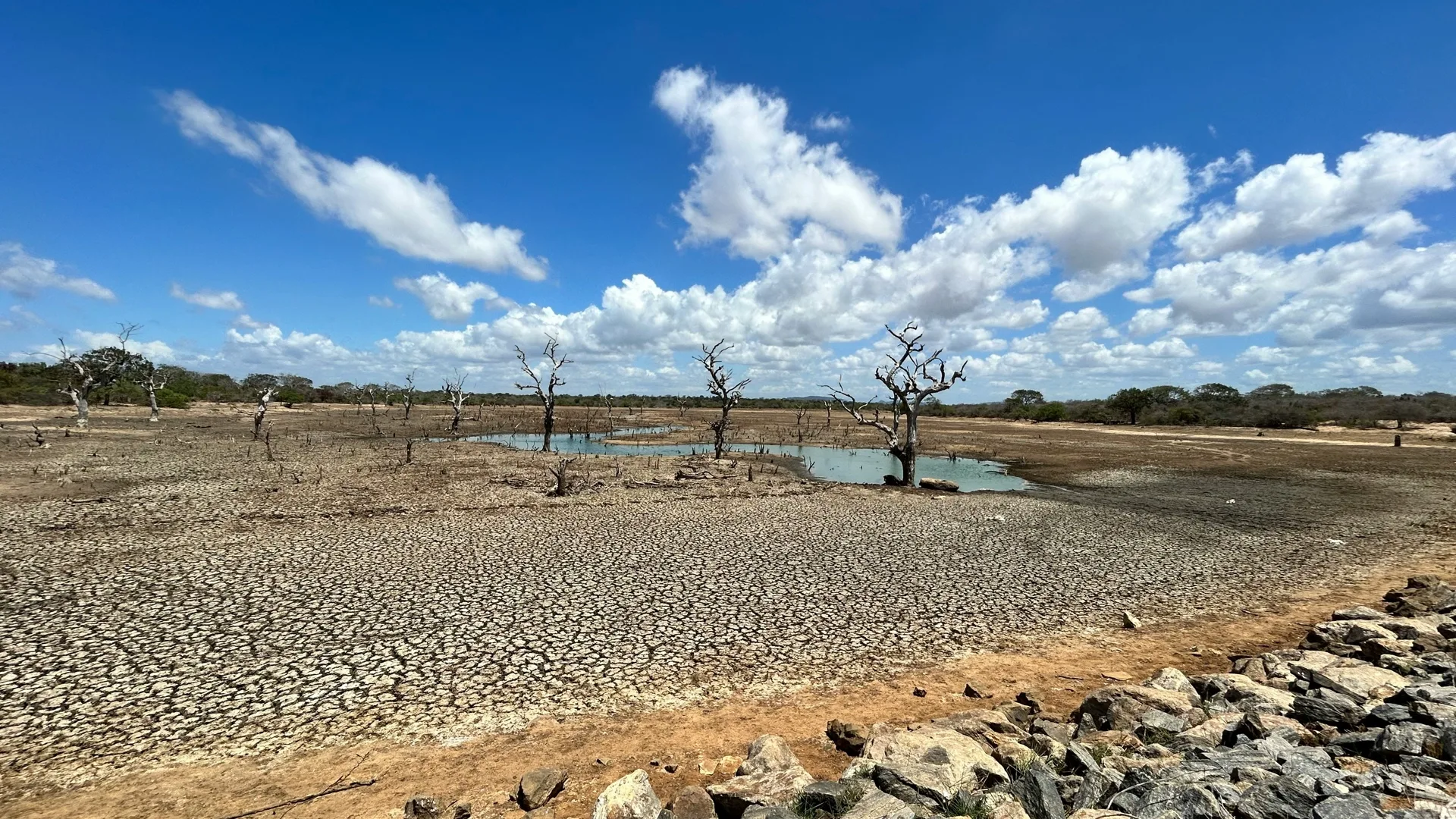 The Impact of Climate Change on Forced Migration in the Sahel: Human RightsPerspective (Nigeria as a Case Study)