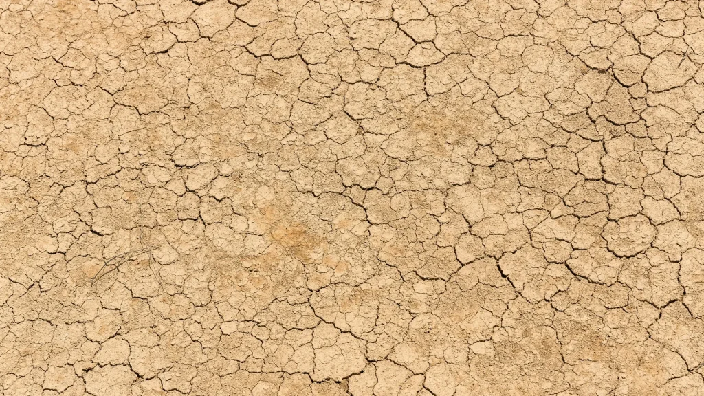 The Nexus Between Migration and Environmental Degradation Based on Fundamental Climate Variables and Extreme Climate Indices for the MENA Domain